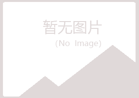 莱阳山柳化学有限公司